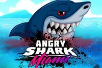 Užijte si další úžasnou verzi legendární Angry Shark!