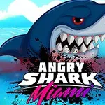 Žralok s otevřenou tlamou vyčnívající z vody s nápisem Angry Shark Miami na pozadí modré oblohy