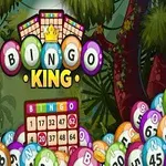 Barevné bingo míčky s nápisem Bingo King uprostřed džungle