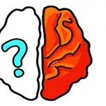 Ilustrace mozku rozděleného na dvě poloviny, kde levá strana je bílá s modrým otazníkem a pravá červená s oranžovými liniemi