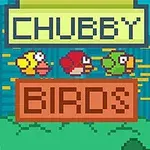 Barevné pixelové ptáčky v řadě nad nápisy CHUBBY a BIRDS proti městskému pozadí