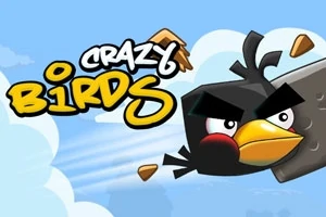 Černý animovaný pták letící vzduchem s textem Crazy Birds na modrém pozadí s bílými mraky