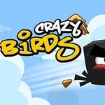 Černý animovaný pták letící vzduchem s textem Crazy Birds na modrém pozadí s bílými mraky