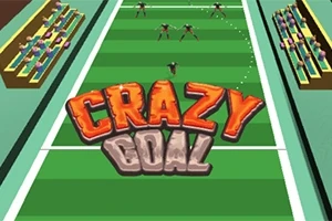 Fotografie ukazuje hřiště s diváky po stranách a stylizovaným názvem Crazy Goal uprostřed