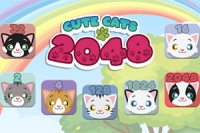 2048 s kočkami