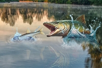 Ve hře Fish Rain je čas chytit tu největší rybu!