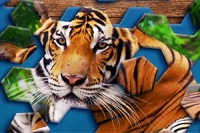 Inovativní a zábavná hra Hexa Jigsaw Puzzle