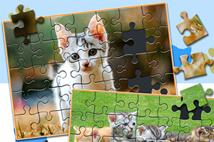 Puzzle s obrázkem koťat, z nichž jedno je složené a druhé má několik chybějících dílků