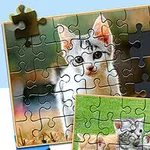 Puzzle s obrázkem koťat, z nichž jedno je složené a druhé má několik chybějících dílků