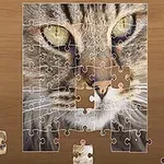 Puzzle kočky s nedokončeným obrázkem na dřevěném stole