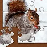 Puzzle s obrázkem veverky, která drží oříšek v zimním prostředí, s chybějícím dílkem vlevo dole