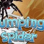 Pavouk visící nad hromadou karet s nápisem Jumping Spider na hnědém pozadí s pavučinou