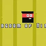 Žluté pozadí s jednoduchou pixelovou grafikou znázorňující ninja obličej a text Kingdom of Ninja 2