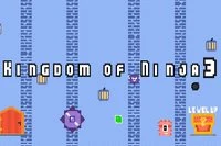 Ahoj z 3. řady hry Kingdom of Ninja