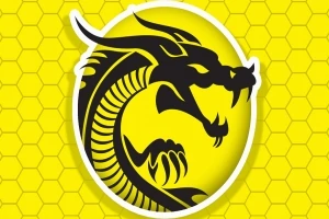 Černý silueta draka na žlutém pozadí s hexagonálním vzorem