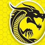 Černý silueta draka na žlutém pozadí s hexagonálním vzorem