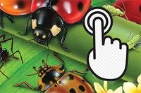 Otestujte svou obratnost!