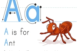 Velká a malá písmena A spolu s ilustrací mravence