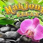 Fialová orchidej na kamenech s nápisem Mahjongg Relax obklopená zelenými listy