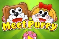 V Meet Puppy se ztratil psí pár a nevědí, co dělat!