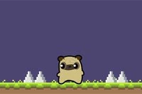 Dobrodružství Pug Love začíná dnes!