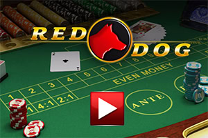 Stůl s pokerovými žetony, kartami a logem ve tvaru psa uprostřed