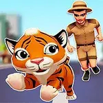 Muž v safari oblečení běží za roztomilým tygříkem po ulici s rozmazanými budovami v pozadí