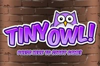 Únik! Vyhni se netopýrům a minám v Tiny Owl!