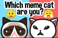 Najdi svého meme kočku: Emoji kvíz