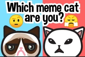Dvě kreslené kočky se zamračeným výrazem s nápisem Which meme cat are you?