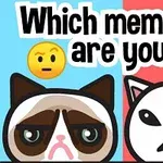 Dvě kreslené kočky se zamračeným výrazem s nápisem Which meme cat are you?
