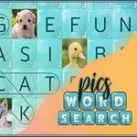 Mřížka s písmeny a obrázky zvířat, včetně psa, kachničky, medvěda a kočky, na modro-oranžovém pozadí s textem pics word search