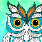 Barevná ilustrace sovy s výraznými modrými a oranžovými prvky na abstraktním tyrkysovém pozadí